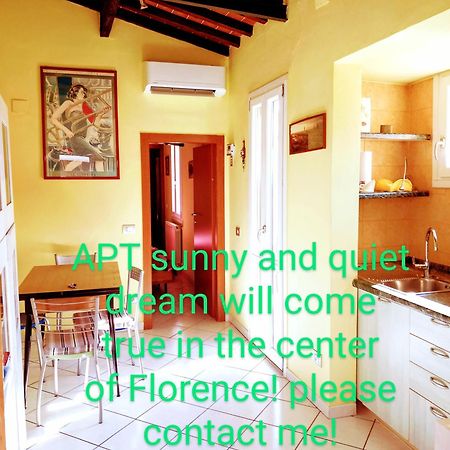 Apt Bright, Quiet! In The Center. Florence Buitenkant foto