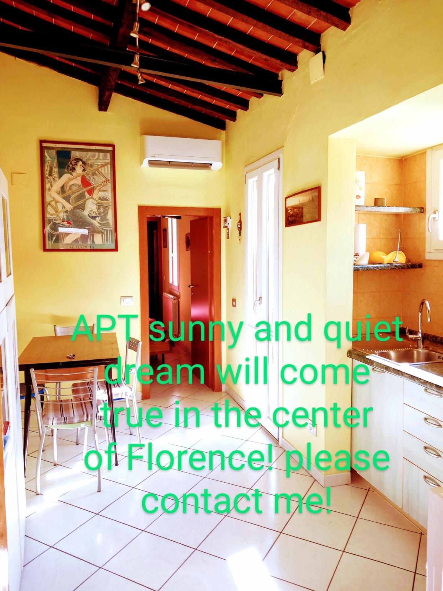 Apt Bright, Quiet! In The Center. Florence Buitenkant foto